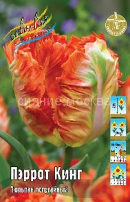 Тюльпан	Пэррот Кинг (Tulipa Parrot King), ПОПУГАЙНЫЙ, 11/12, 1 шт