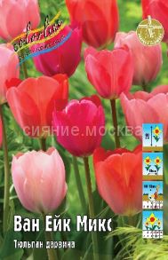 Тюльпан	Ван Ейк Микс (Tulipa Van Eijk Mix1), ДАРВИНОВСКИЙ, 11/12, 8 шт