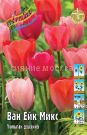 Tyulpan-Van-ejk-Miks-Tulipa-Van-Eijk-Mix1-DARVINOVSKIJ-11-12-1-sht