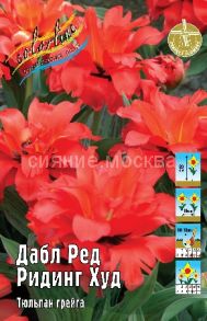 Тюльпан	Дабл Ред Ридинг Худ (Tulipa Double Red Riding Hood), ГРЕЙГА, 11/12, 1 шт
