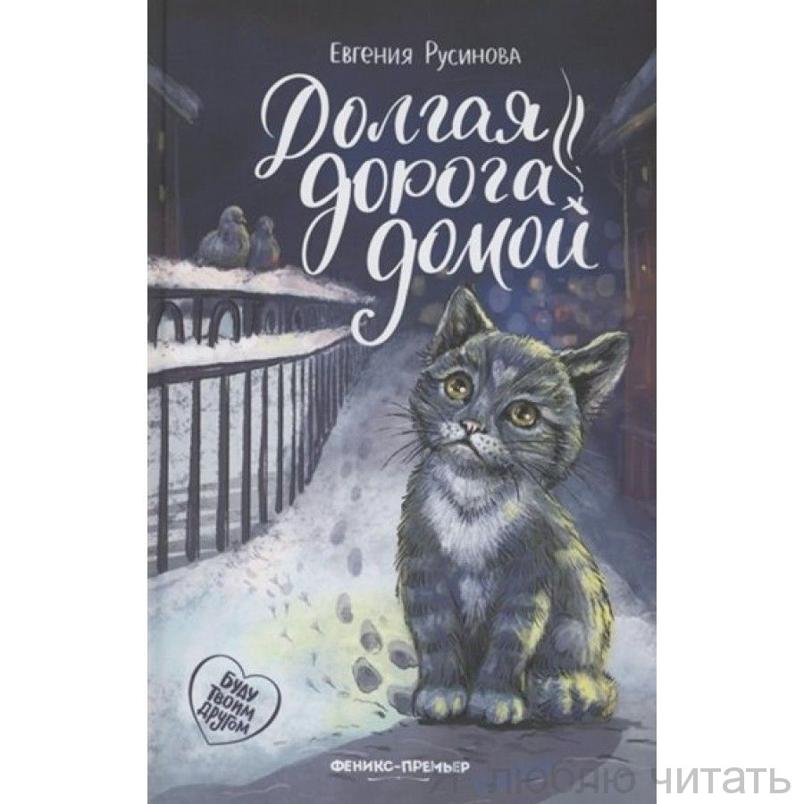 Долгая дорога домой