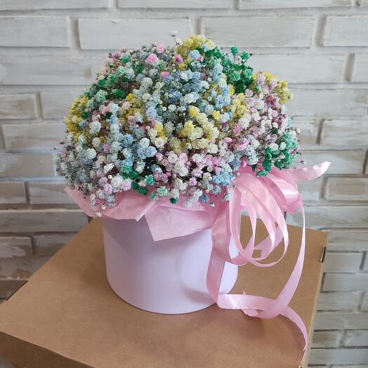 Радужная гипсофила в коробке L