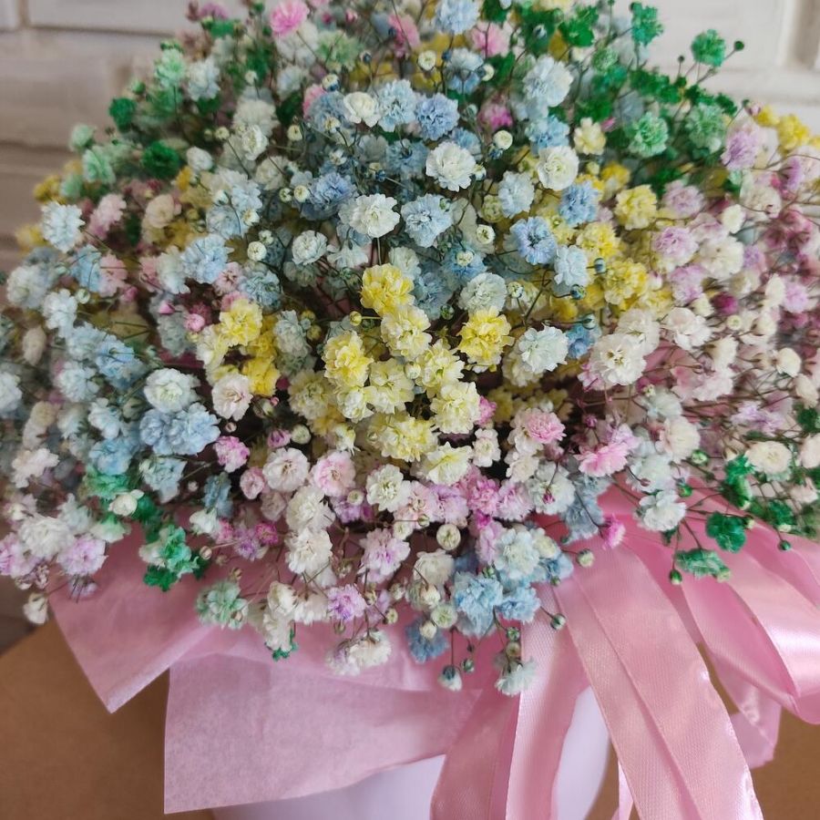 Радужная гипсофила в коробке L