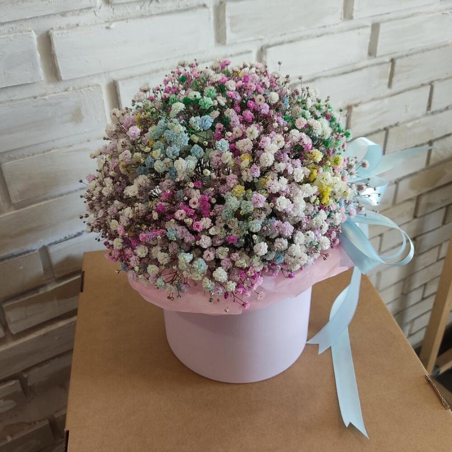 Радужная гипсофила в коробке M