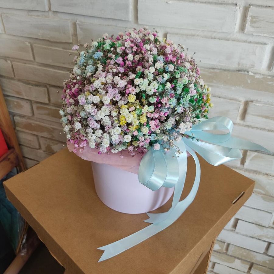 Радужная гипсофила в коробке M