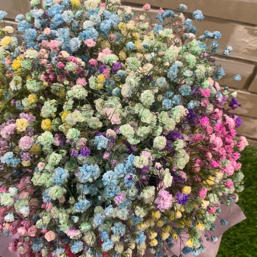 Радужная гипсофила в коробке S