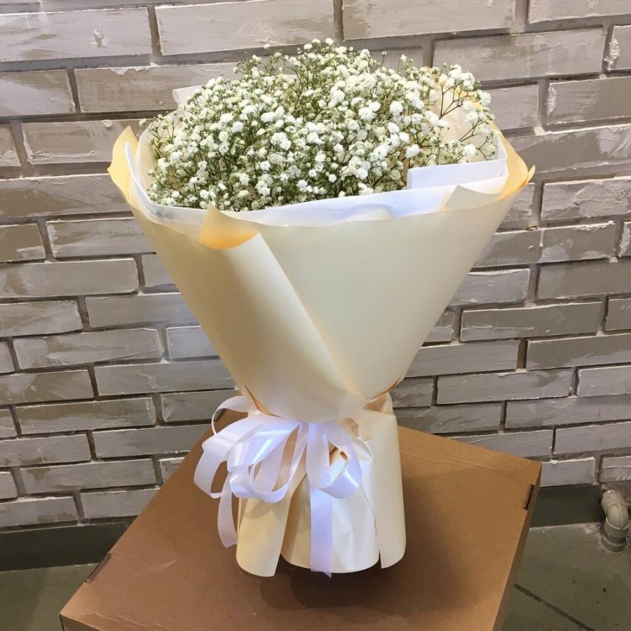 Гипсофила белая 5шт