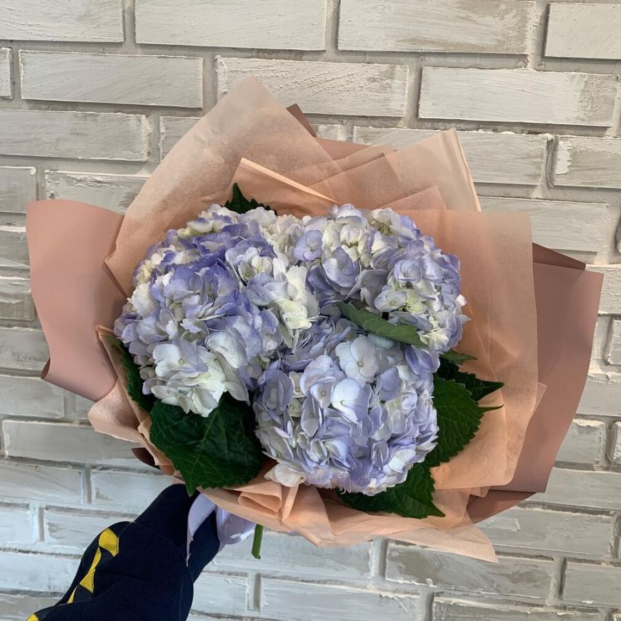 Букет фиолетовые гортензии