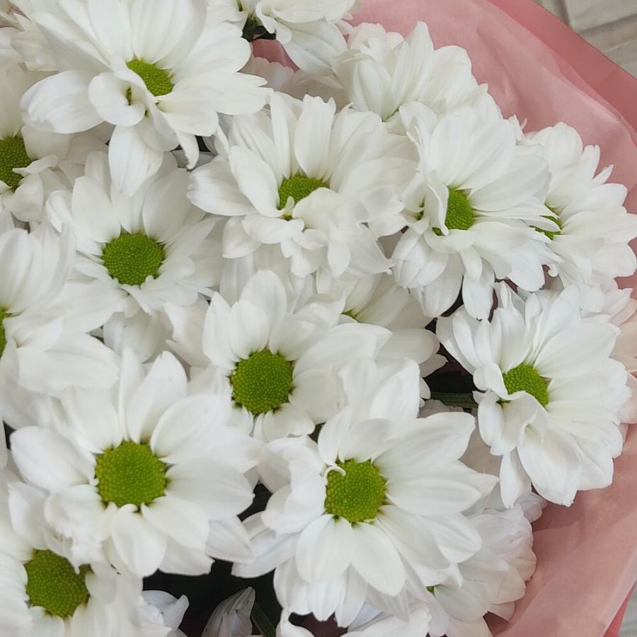 Букет белых хризантем