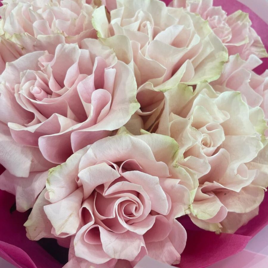 Французские розы Пинк Мондиаль 9шт