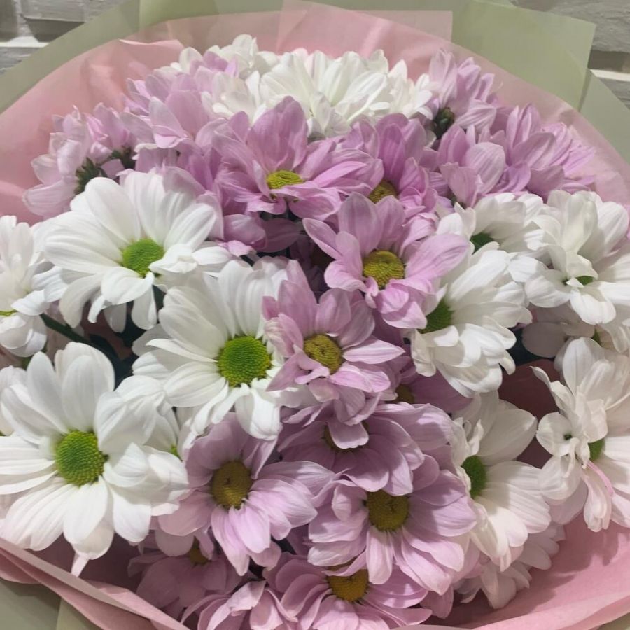 Букет розово белых хризантем