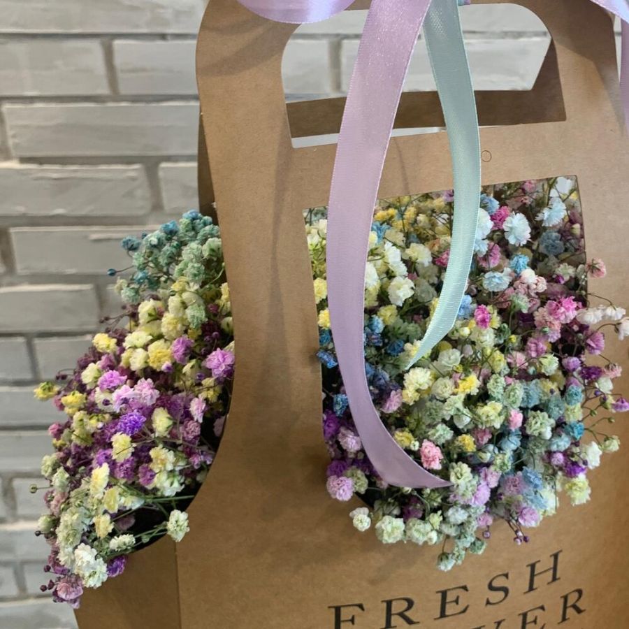 Гипсофила радужная в сумочке