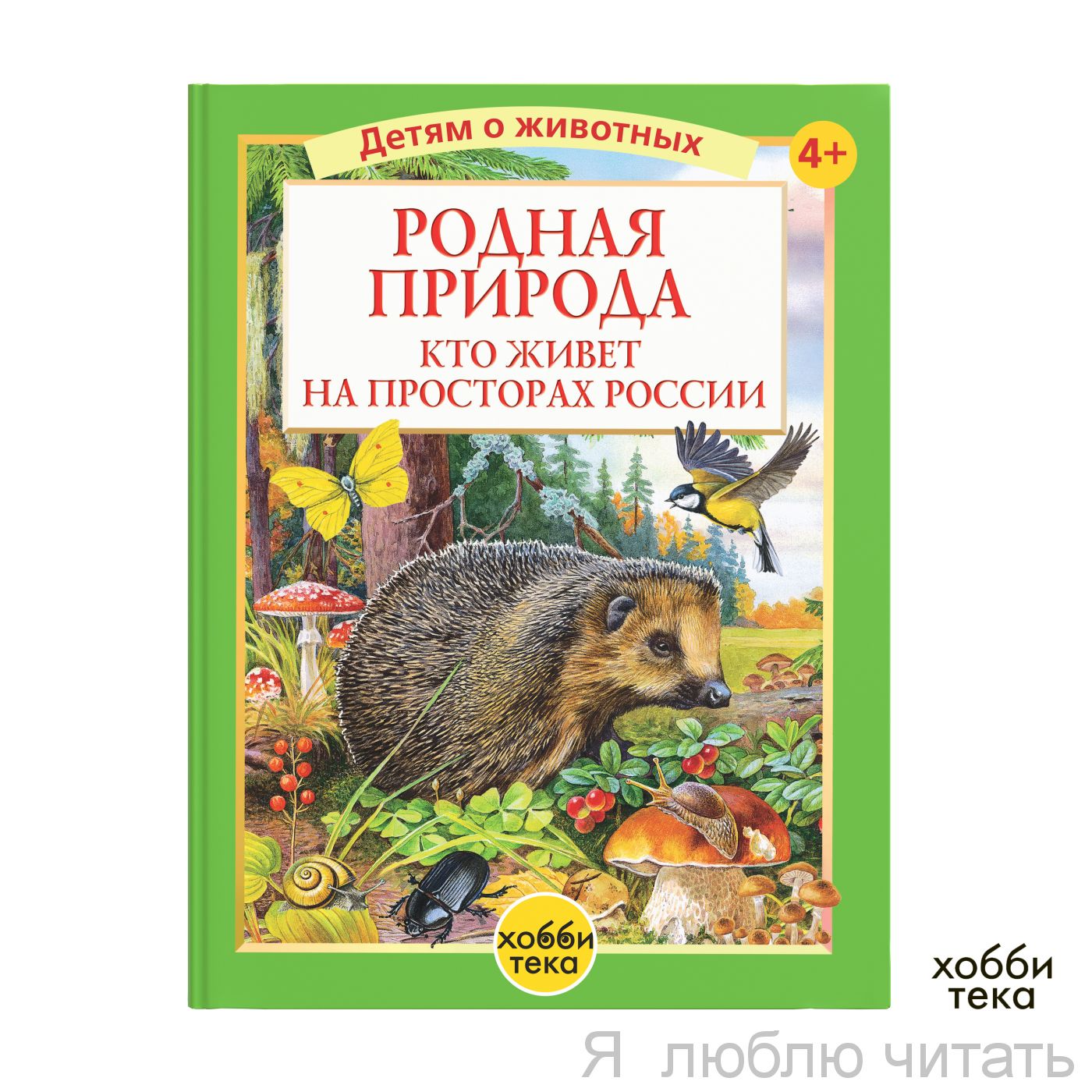 Родная природа. Кто живёт на просторах России