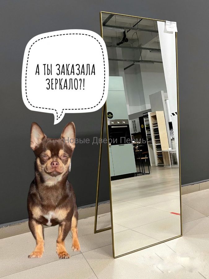 Зеркало напольное 50х160 см с ножкой