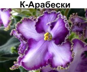 К-Арабески (Крайдуба)  НОВИНКА