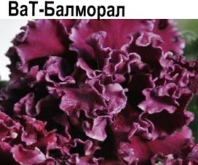 ВаТ-Балморал (Валькова)  НОВИНКА