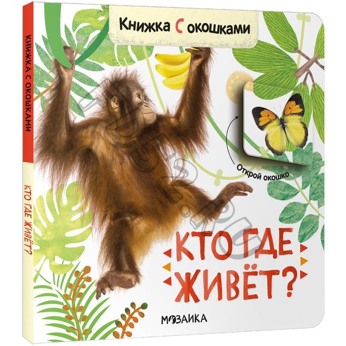 Книжки с окошками. Кто где живёт?