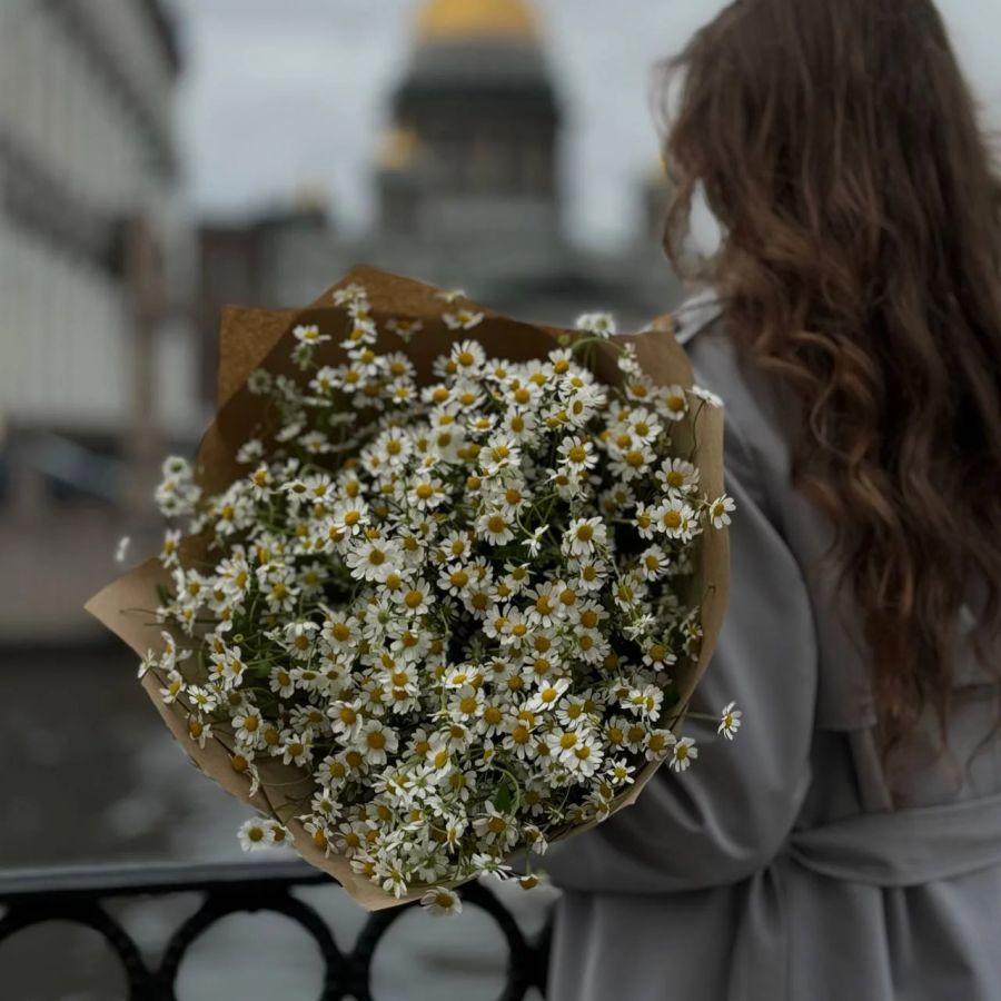 Ромашки - ромашульки