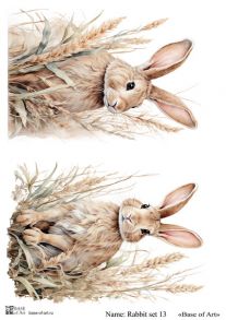 Rabbit set 13