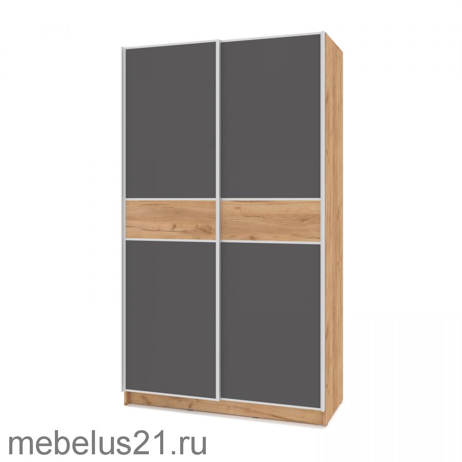 Шкаф купе Браун со вставкой 1300