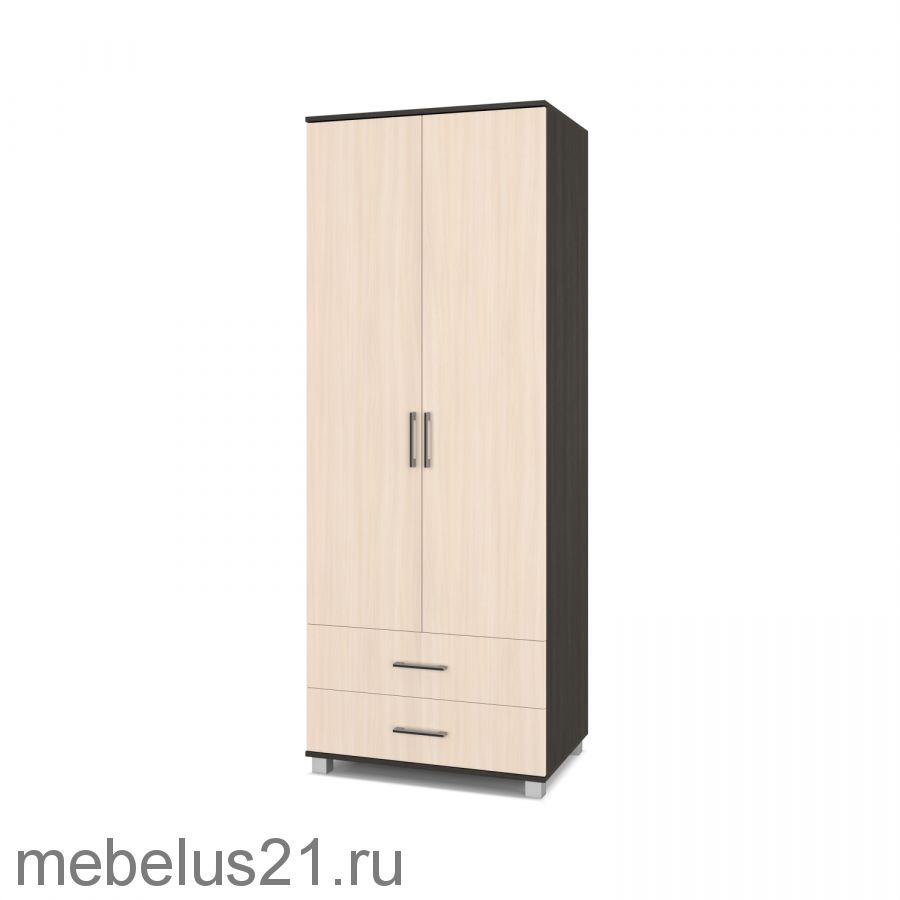 Шкаф 2-х створчатый Ева Е-23