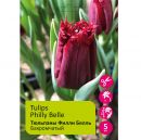 Тюльпаны Филли Белль 5шт Tulips Philly Belle