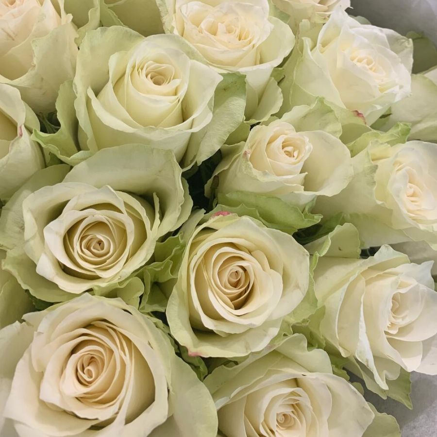 Белые розы в черном