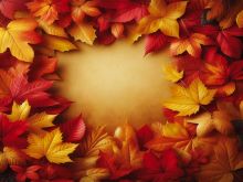 Фон стена "Autumn wall №19"