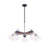 Люстра на Штанге Freya Lorenza FR4171-PL-05-B Черный, Металл / Фрея.