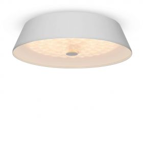Светильник Потолочный Светодиодный Freya Cells FR10013CL-L24W Металл / Фрея.