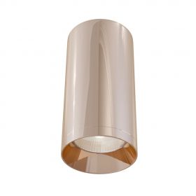 Светильник Потолочный Maytoni Focus C010CL-01RG Золото.