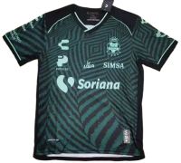 Гостевая форма Santos Laguna 24/25