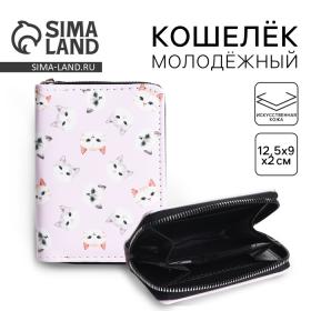 Кошелек молодежный "Милые котята" 12.5х9х2 см