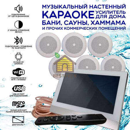 Комплект домашней акустической системы с караоке-усилителем Steam & Water SOUND 6 Standart