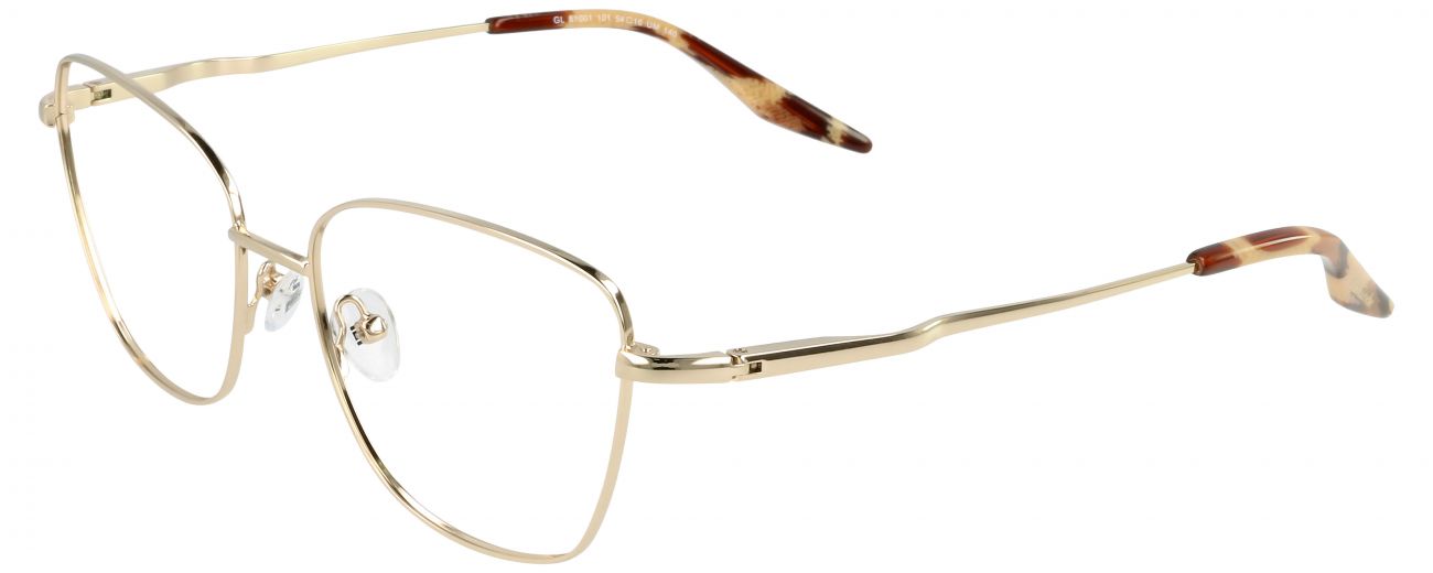 Guy Laroche Очки GL 81001 Embleme 101