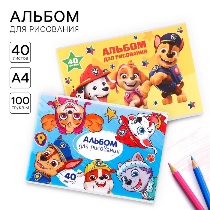 Набор альбомов для рисования на скрепке 40 листов, 2 штуки, Paw Patrol