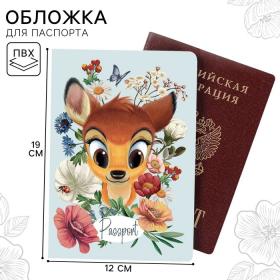 Паспортная обложка, Disney