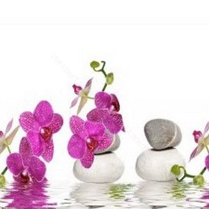 Кухонный фартук sv-852 Орхидея 2800 мм