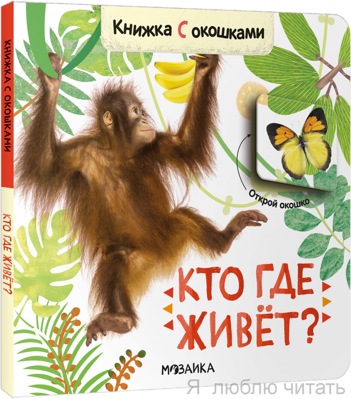Книжка с окошками. Кто где живёт
