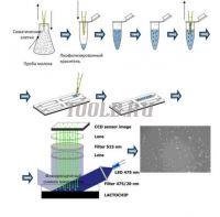 New scc анализатор прямого подсчёта соматических клеток и бактериальной обсеменённости в молоке фото