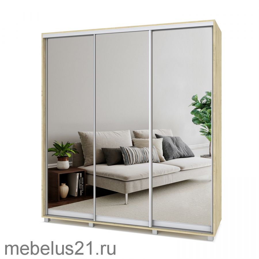 Шкаф купе Мартин с зеркалом 2,4 м