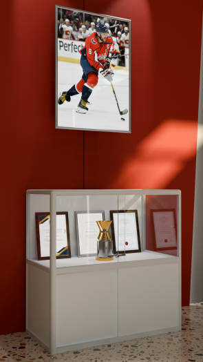 Шкаф-витрина музейный 1000х500х1000 мм