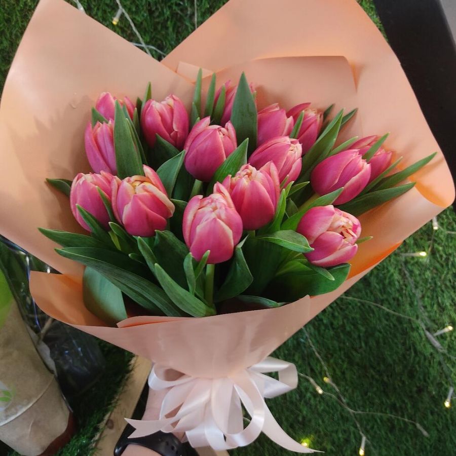 Тюльпаны  пионовидные Коламбус