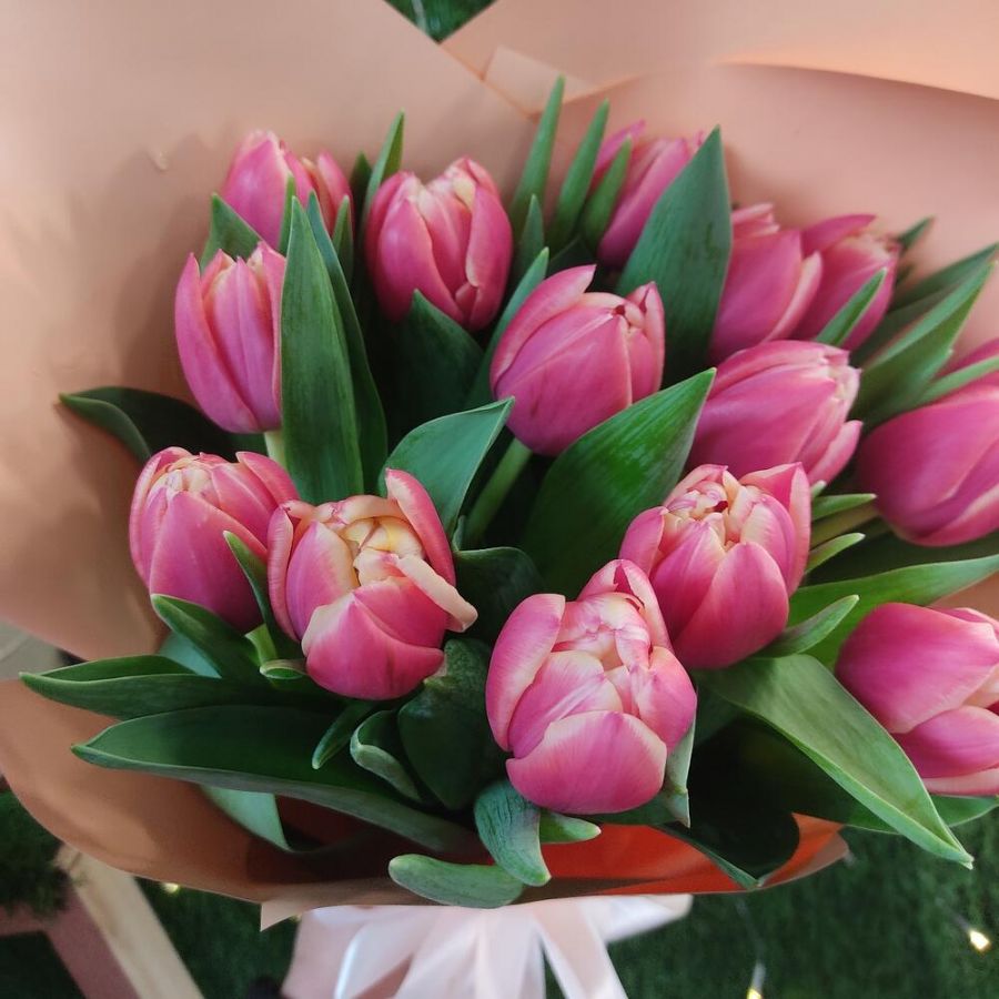 Тюльпаны  пионовидные Коламбус