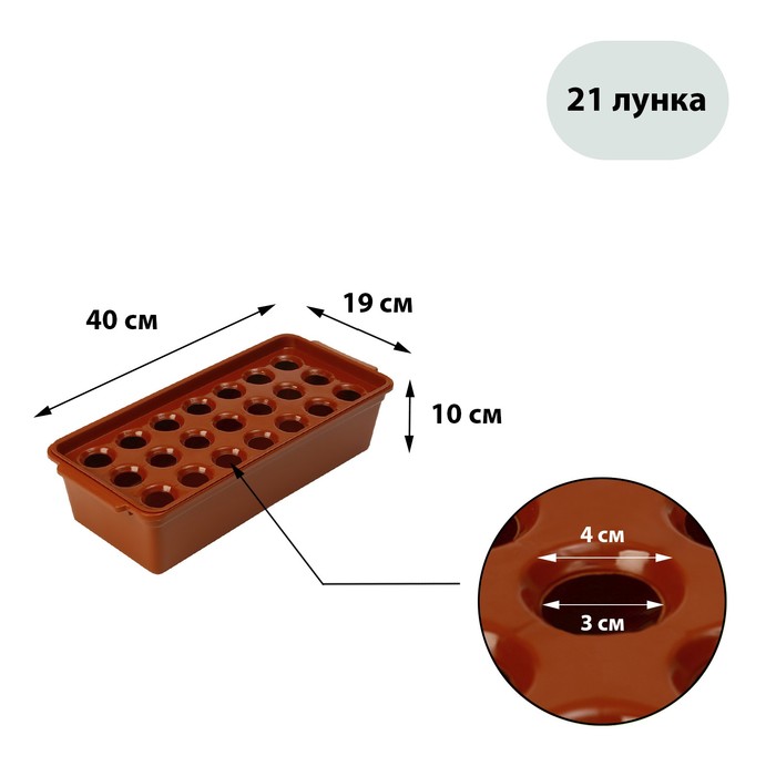 Ящик для выращивания зелёного лука, 40 ? 19 ? 10 см, 21 лунка, красный
