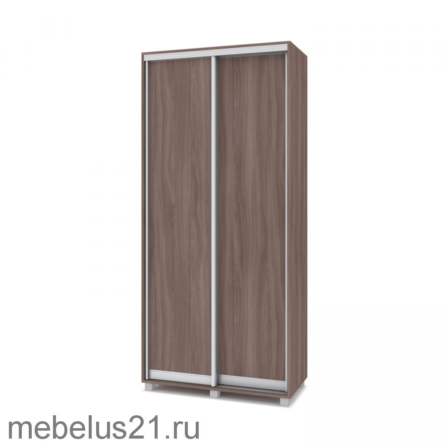 Шкаф купе Роланд 1 м