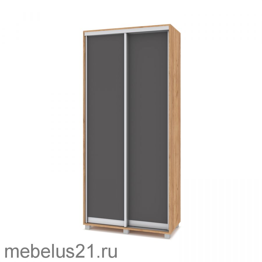 Шкаф купе Роланд 1 м