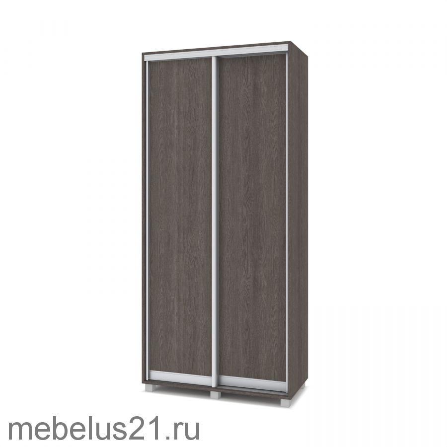 Шкаф купе Роланд 1 м