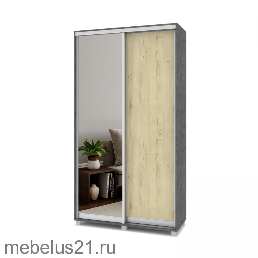 Шкаф купе Роланд с зеркалом 1 м