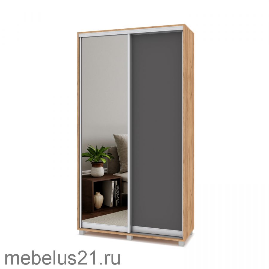 Шкаф купе Роланд с зеркалом 1 м